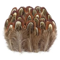 Pavão de frango natural e feisão penas pequenas para artesanato, bordado, acessórios de artesanato, decoração de jóias DIY, atacado - Image 5