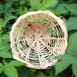 Handmade Bamboo Bird Nest, Rest Cave, Cage House, Nature Craft, Idéias para Finch e Canary, Small Parrot Garden, Home Decoration - Image 1