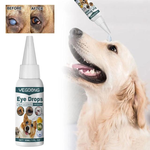 Catarata e Cuidados Oculares: Colírio para Cães, Removedor de Marcas de Lágrima, Alívio para Coceira e Tratamento Antibacteriano Pet Eyes Wash Drop