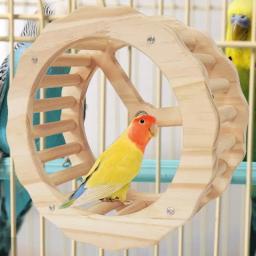 Roda de exercício para papagaio, roda giratória interativa, pássaros de madeira, brinquedos, gaiola, acessórios para conures, periquitos, papagaios, calopsitas - Image 4