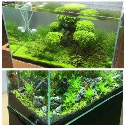Solo de Semente de Plantas de Aquário Substrato Plantado, Solo De Areia, Lama De Fertilizante Para Aquário, Cuidados Com Plantas, Água Doce, 100g - Image 5
