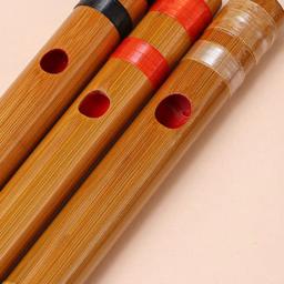 Flauta transversal de bambu para adultos, instrumento musical japonês, acessórios para instrumentos, baixo profissional, doce, Shakuhachi - Image 4