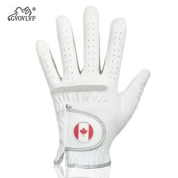 Luvas de golfe com marcador magnético de folha de bordo vermelho, leve, respirável, design destacável para esportes ao ar livre, golfe, equitação - Image 1