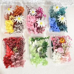 Pacote de Material Artificial Flor Seca, Materiais Florais DIY, Flor Eterna, Artesanato, Decoração De Festa De Casamento, Curso De Arte Flor - Image 6