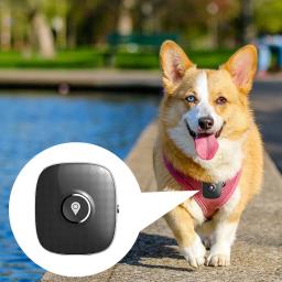Mini 2g 3g 4g GSM Tracker Anti-perdido Dispositivo de Rastreamento GPS Para Crianças Cães Idosos Gatos Animais de Estimação Animais - Image 1