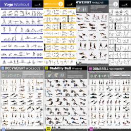 Cartaz De Treino Para Ginásio Em Casa, Murais De Treino De Fitness, Equipamentos De Exercício, Barbells, Treinamento De Força, Cartaz De Yoga, Decoração - Image 1