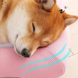Esteira de resfriamento para cães e gatos, cama universal, gelo, ninho para cães, canil para VIP, transporte rápido, verão - Image 3