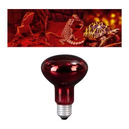 Réptil Lâmpada de Aquecimento para Pet Heat Lights, Lâmpada Iluminação Dispositivo, Fonte de Aquecimento, Vivarium Terrarium, Geckos Amphibian, 100W - Image 2