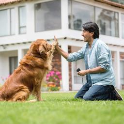 Dispositivo anti-latido com sensor duplo para cão, Deterrente de latidos ultra-sônicos, Ferramentas de treinamento com luz LED, seguro para humanos e animais - Image 2