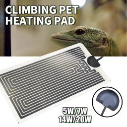 Minco aquece 220v-240v 5w/7w/14w/20w grafeno répteis almofada de aquecimento do animal de estimação almofada de aquecimento withtemperature controlador - Image 2