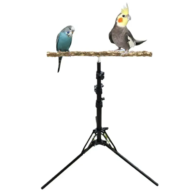 Poleiro Ajustável para Pássaros em Madeira Natural - Brinquedo Ideal para Pássaros Pequenos e Médios, Uso Interno e Externo