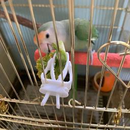 Pequeno Pet Bird Food Holder, Papagaio Frutas Legumes Clip, Choco Osso Alimentador Dispositivo, Bird Cage Acessórios, Bonito - Image 6