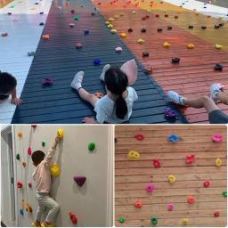 Kit de Parede De Escalada De Madeira Pedras para Crianças, Escalada Holds, Playground Game, Pés De Mão, Treinamento De Escalada, 10Pcs por Conjunto - Image 3