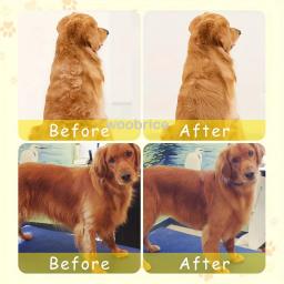 Electric Dog Grooming Escova, Escova de vapor, Pet Escova de vapor, Remove emaranhados e cabelos soltos, Massagem, Steamy Cat Supplies, 3 em 1 - Image 3