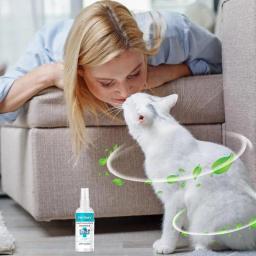 Spray desodorizante para cães, Pet Odor Spray para cães, Suprimentos de banho, Perfume duradouro, Odores após o banho para cães, 50ml - Image 2