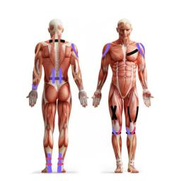 Fita elástica esportiva kinesio, adesivos de recuperação atlética, bandagens fitness, almofadas de suporte para cinesiologia, proteção das articulações do joelho, 5m x 5cm - Image 5