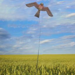 Emulação Flying Hawk Kite, Scarer Drive, Repelente para Garden Scarecrow, Mantenha os pássaros longe, sem pólo - Image 5