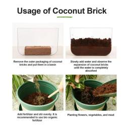 Solo de fibra de coco natural para réptil, Terrário para lagarto, Tartaruga, Terrário para réptil, Suprimentos Inferiores - Image 4