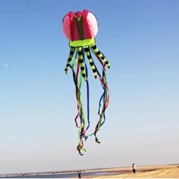 Jellyfish Flying Nylon Line para adultos, pipas voadoras gigantes, equipamentos de windsurf, frete grátis, 8m - Image 2