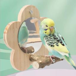 Natural Wood Bird Perch Stand Com Espelho, Suporte De Madeira, Plataforma De Papagaios, Acessórios De Gaiola, Branch Perch Rod - Image 3
