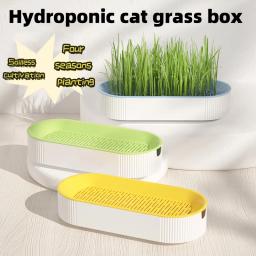 Catgrass hidropônico para planta verde interior, sementes de trigo para gatinhos, lanche de gato, pote claro, pronto para comer, pet snacks - Image 1