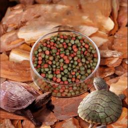 Círculo de alimentação de vidro transparente para aquário Alimentador de tanques de peixes Alimentador de fundo flutuante Acessórios de alimentação de camarão - Image 4