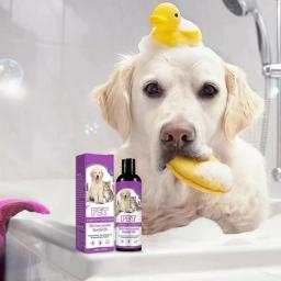 Calmante cão Shampoo cabelo macio Shampoo, hidratante ShampooProfessional Pet Natural Plant Shampoo, Pet Grooming Suprimentos - Image 6