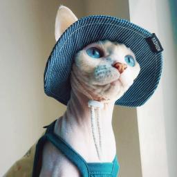 Chapéu de Protetor Solar para Spyhnx Gato Pescador de verão Jeans listrados Chapéu Vermelho Azul para Devon Rex Artefato Fotográfico para Gatinhos Pet Suprimentos - Image 1