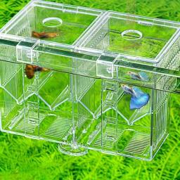 Tanques reprodução para aquário, caixa incubação isolamento peixes pequenos, caixa desova - Image 2