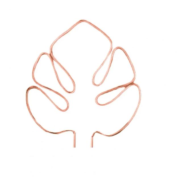 Estaca de Suporte para Plantas Monstera: Rustproof, Resistente à Corrosão e de Instalação Simples