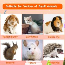 Túnel tubo brinquedos para pequenos animais atividade, cobaia, coelho, coelho, hamster, esconderijo, acessórios Hideaway, Pet Products - Image 6