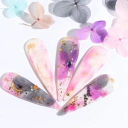 6 cores/caixa 3d flor seca natural pequena folha natural floral adesivo da arte do prego applique manicure decoração pressionado flores secas - Image 3