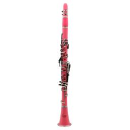 SLADE-Clarinete Portátil com 6 Anéis, Instrumentos Profissionais de Sopros, Clarinetto Rosa, Bb, 17 Chaves - Image 4