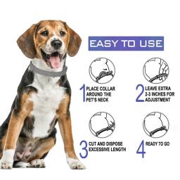 Coleira VIP para cães pequenos e gatos, coleira de cachorro, acessórios para animais, 68cm 37cm - Image 3