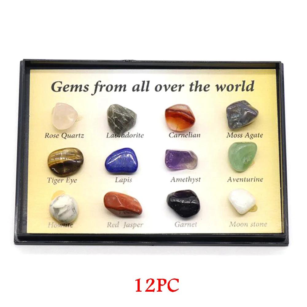 Caixa de Coleção de Pedras Preciosas Naturais, Cristais de Quartzo, Pedras Caídos, Rocha Granel, Espécime Mineral, O Mundo, Irregular, 12 Pcs/Set, 15 Pcs/Set, 36 Pcs/Set - Image 1