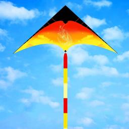 Frete grátis delta pipas voando para crianças pipas linha brinquedos divertidos esportes rc parapente kite carretel enrolador profissional power kite koi - Image 3