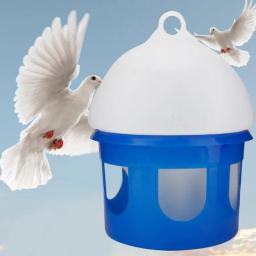 Aves bebedor alimentador automático dispensador de água recipientes caixa de copo de água pet brids alimentação para - Image 6