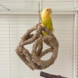 Pássaro poleiro ramo anéis para papagaios conure suprimentos budgies balanço scratchers para pequeno médio papagaios - Image 3
