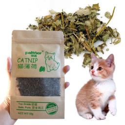 100% natural premium catnip gado grama, não-tóxico, hortelã sabor, suprimentos para manter a saúde do animal de estimação, acessórios de brinquedo - Image 4