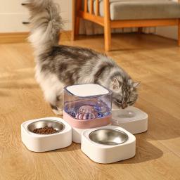 Kimpets Multi Bowl para cão e gato, Grande capacidade para água potável e alimentação, seco e molhado, Pet Shop - Image 6