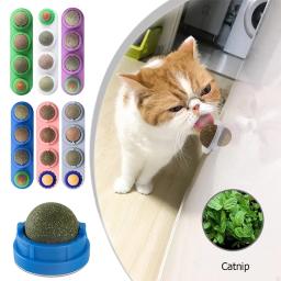 Natural gato gato parede vara-no brinquedo bola doces lambendo trata saudável remove bolas de cabelo para promover digestão gato grama lanche - Image 2