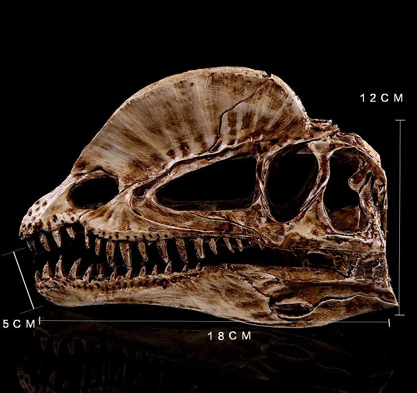 Modelo de dinossauro dilophosaurus resina artesanato cabeça crânio dinossauro fóssil esqueleto animal crânio estátuas artesanato ornamento adereços - Image 1