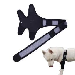 Dog Leg Strap Pet Bandagens, Dog Leg Knee Brace, Protetor de estimação, Frente canina, suprimentos ACL rasgado - Image 4