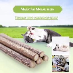 Dentes naturais Pet Moagem Creme Dental Stick, Kiwi Fruit Silver Vine, Cat Safe Stick, suprimentos de limpeza - Image 2