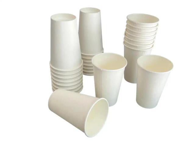 Copo de papel branco liso biodegradável 300 ml para bebidas - 100 unidades para festas, café, sucos e escritório