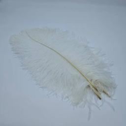 Natural Avestruz Penas para Artesanato, Decoração Do Casamento, Acessórios De Artesanato, Mesa Centerpieces, Plumas De Carnaval, Natal, 10Pcs por Lote - Image 3