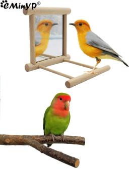 Brinquedo Interativo De Madeira Para Papagaio Pequeno, Espelho De Pássaro, Poleiro, Periquito, Periquito, Calopsita, Conure, Inseparável, Gaiola Acessórios - Image 1