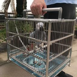 Gaiola portátil de aço inoxidável, Alimentador ao ar livre do papagaio, Carrying Budgie, Acessórios para animais - Image 6