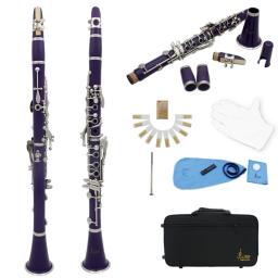 Bb Professional 17 teclas clarinete, luvas brancas, pano de limpeza com caixa, orquestra, instrumentos musicais, barris, palhetas - Image 5