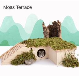 Natural Moss Mat Hamster Cage, Moss Terrace, Paisagismo Suprimentos, Pequenos Acessórios Pet, Tapete Multi-room - Image 1